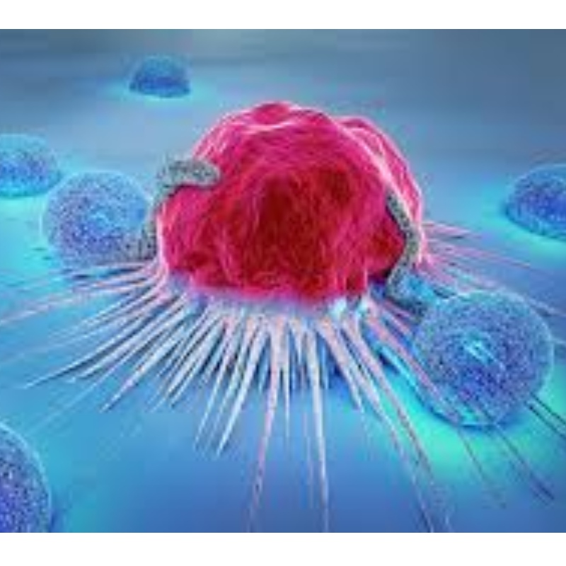 Japan: NMN motstår immuncellens senescens och hämmar 71,4% tumörtillväxt